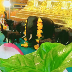 Blessing Elephant
